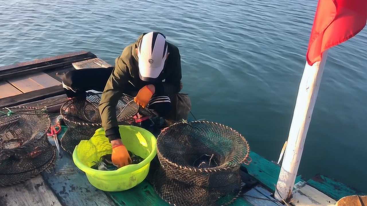 鱼排边的海货就是多阿聪早早过来赶海螃蟹一捞就是一大盆
