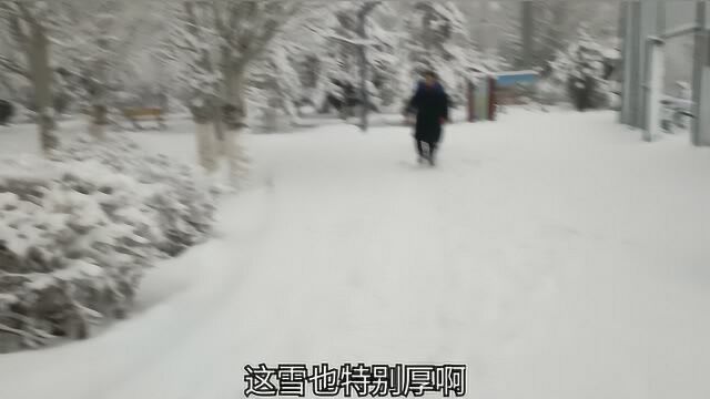 带大家看看今天上午的雪景树上挂满了雪花,风景景色特别的漂亮