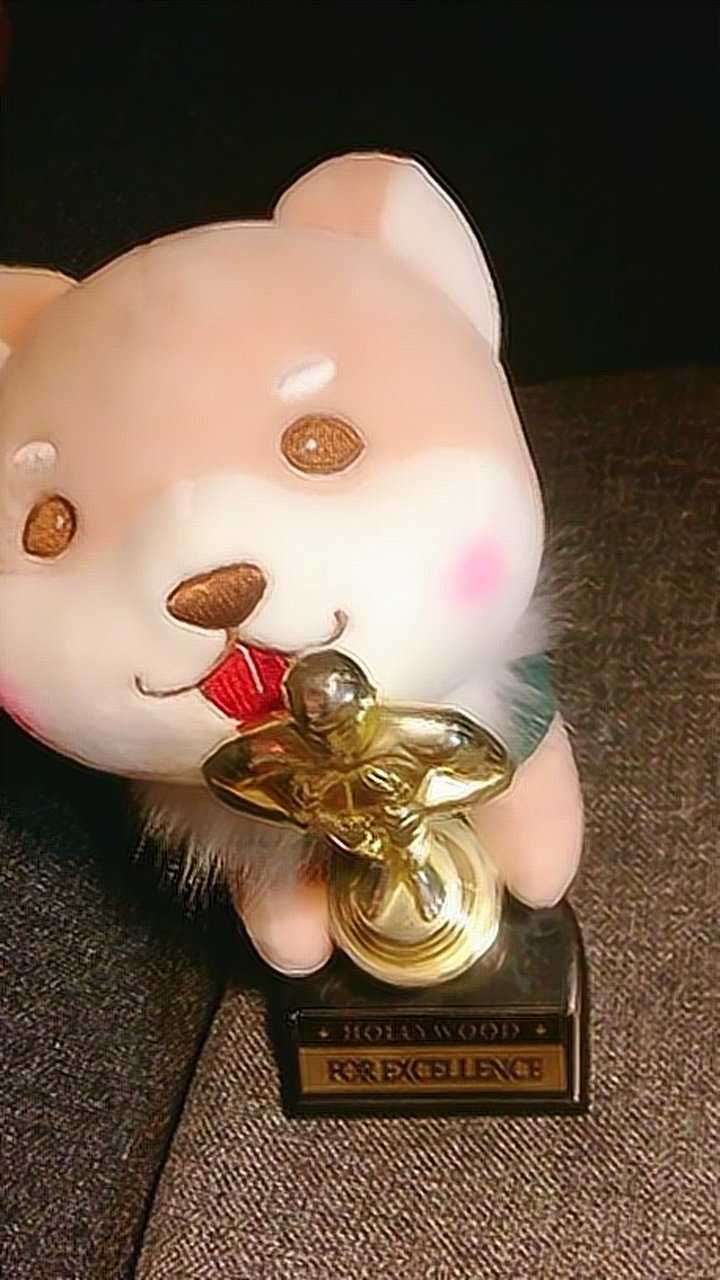 四岁的海骝马