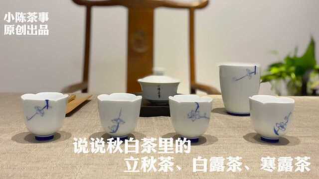 秋白茶里的立秋茶、白露茶、寒露茶,它们的香气、滋味都在这里了