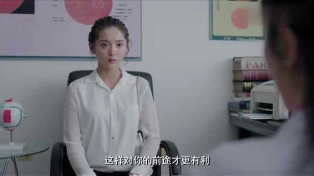 丁妮害的女医生家庭破裂,不料应聘时面试官竟是她,真是报应