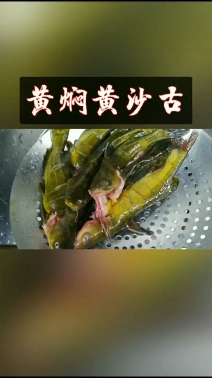 黄焖黄沙古,也叫黄辣丁