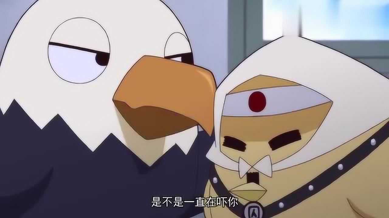 兔子一直吓唬脚盆鸡鹰酱问脚盆鸡想不想吓唬它脚盆鸡当然想