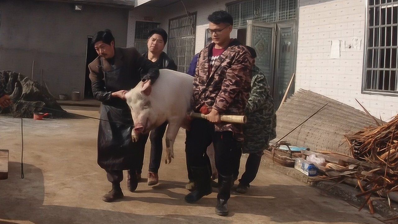 湖南农村杀年猪,这猪太凶了,四个人都拉不动它,只能抬着走