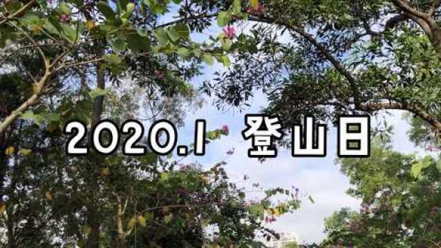 2020.1 登山日感受沿途的风景