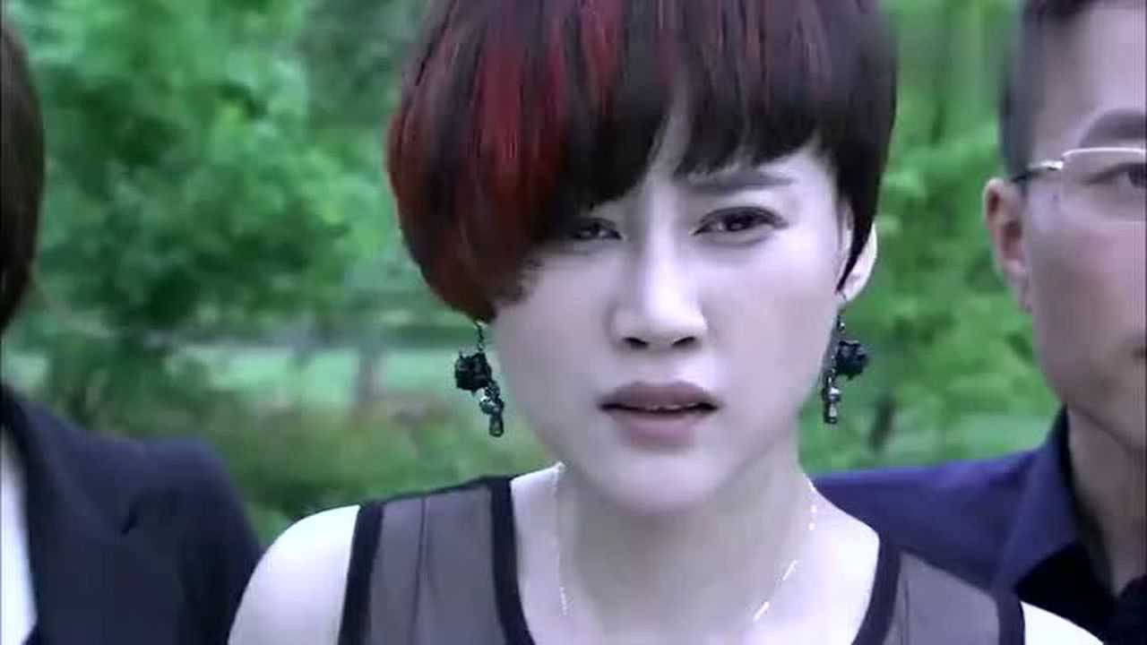 中国刑警803刑警803出动抓捕罪犯夏晶晶天网恢恢疏而不漏