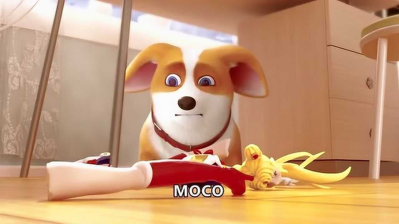 moco狗狗动画主人图片