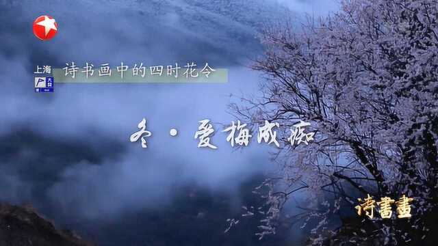 诗书画四时花令ⷥ†삷 林逋爱梅成痴 以梅为妻 20200107