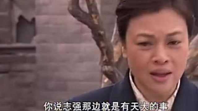 二叔:二叔被人打伤,不料宝珠挺着大肚子不见了,家里乱作一团