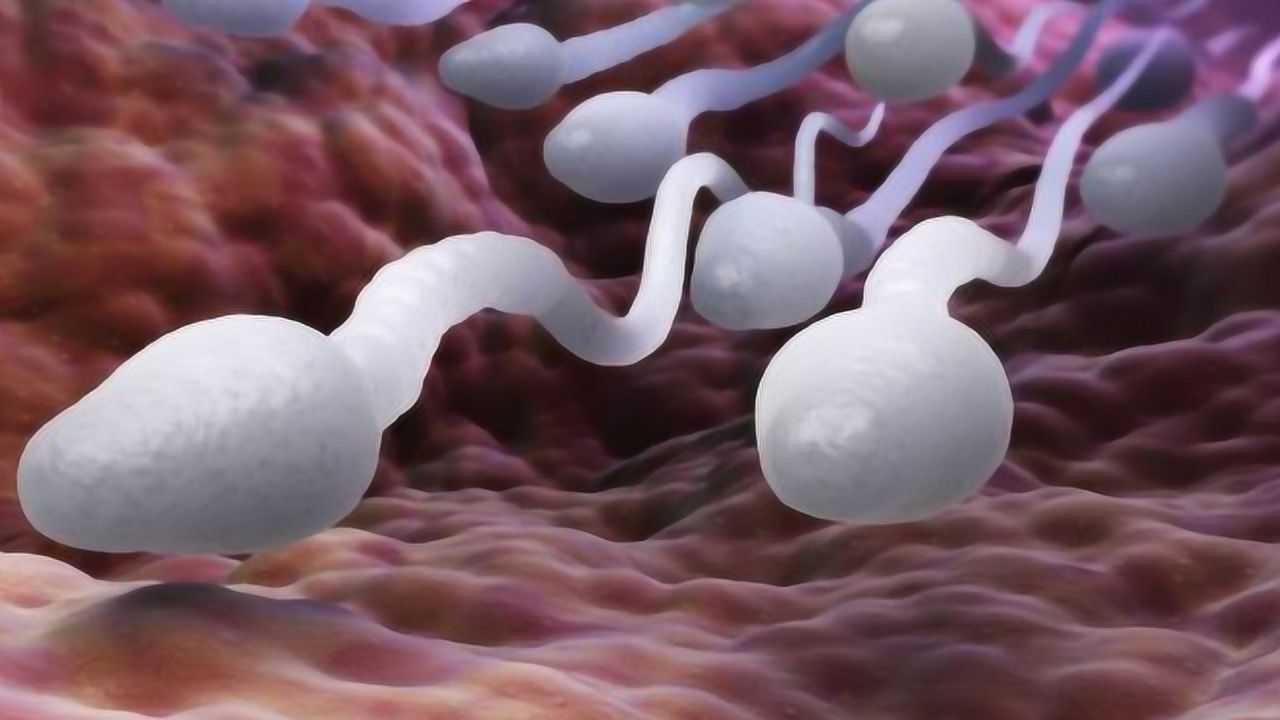 精子和卵子是怎么结合的?来看3d演示全过程,堪比星球大战