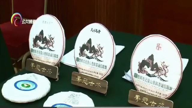 普洱市发布“普洱茶十项标准”,助力云茶规范发展