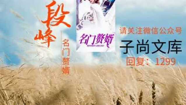 名门赘婿段峰江菀全集全免