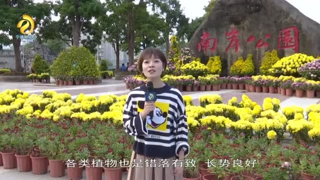 市长梁伟新代表宁德市接受“国家森林城市”授牌!