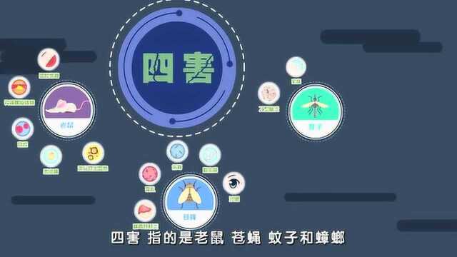 除四害之疾病防控篇