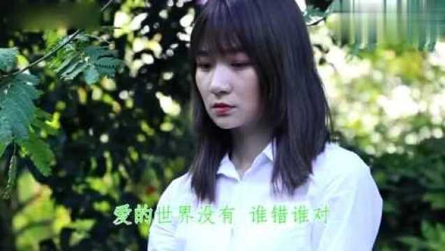 一首DJ《心痛的滋味谁能体会》,好听到流泪,忍着心痛,听了一夜