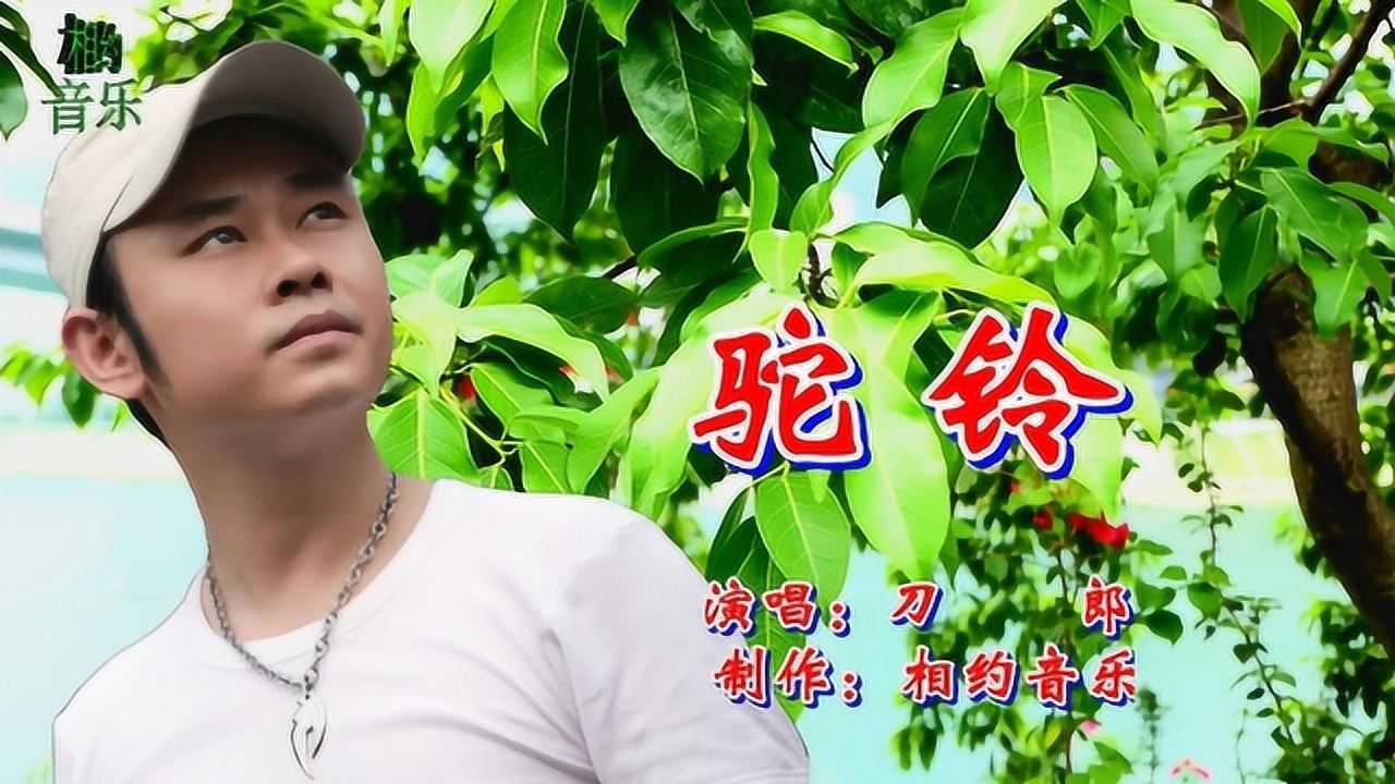 刀郎一首怀旧金曲《驼铃》,浓浓战友情,情深意浓,听醉了!