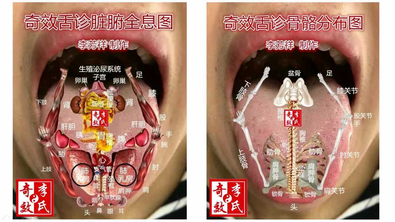 李芳祥奇效舌诊舌形篇北京中医药大学讲座高清版第一节