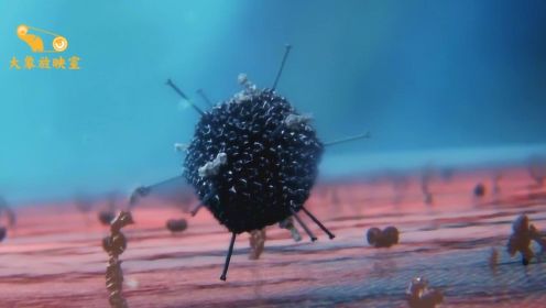 我们是如何感染病毒的？感染后免疫系统如何应对？