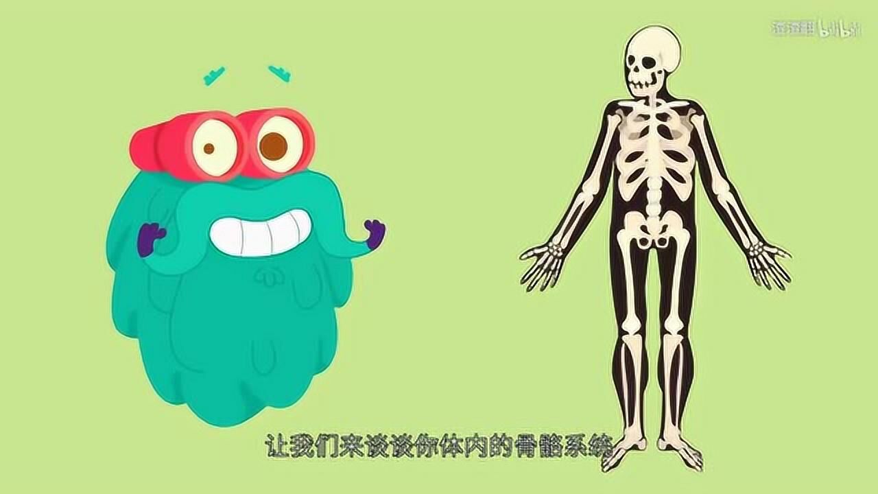 生物动画视频|4分钟看懂人体骨骼_高清