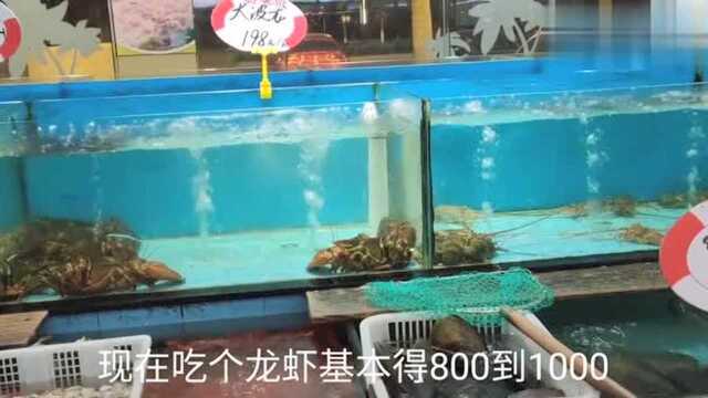 实拍东莞最便宜的海鲜酒楼,八个人吃了一大桌才2300块,真实惠