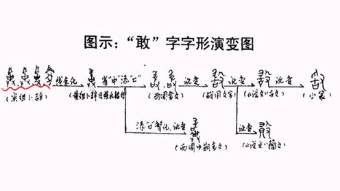 【国学新知】《说文解字》之“敢”（230）