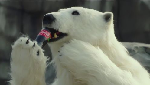 动物园面临倒闭，园长假扮北极熊喝可乐吸引游客