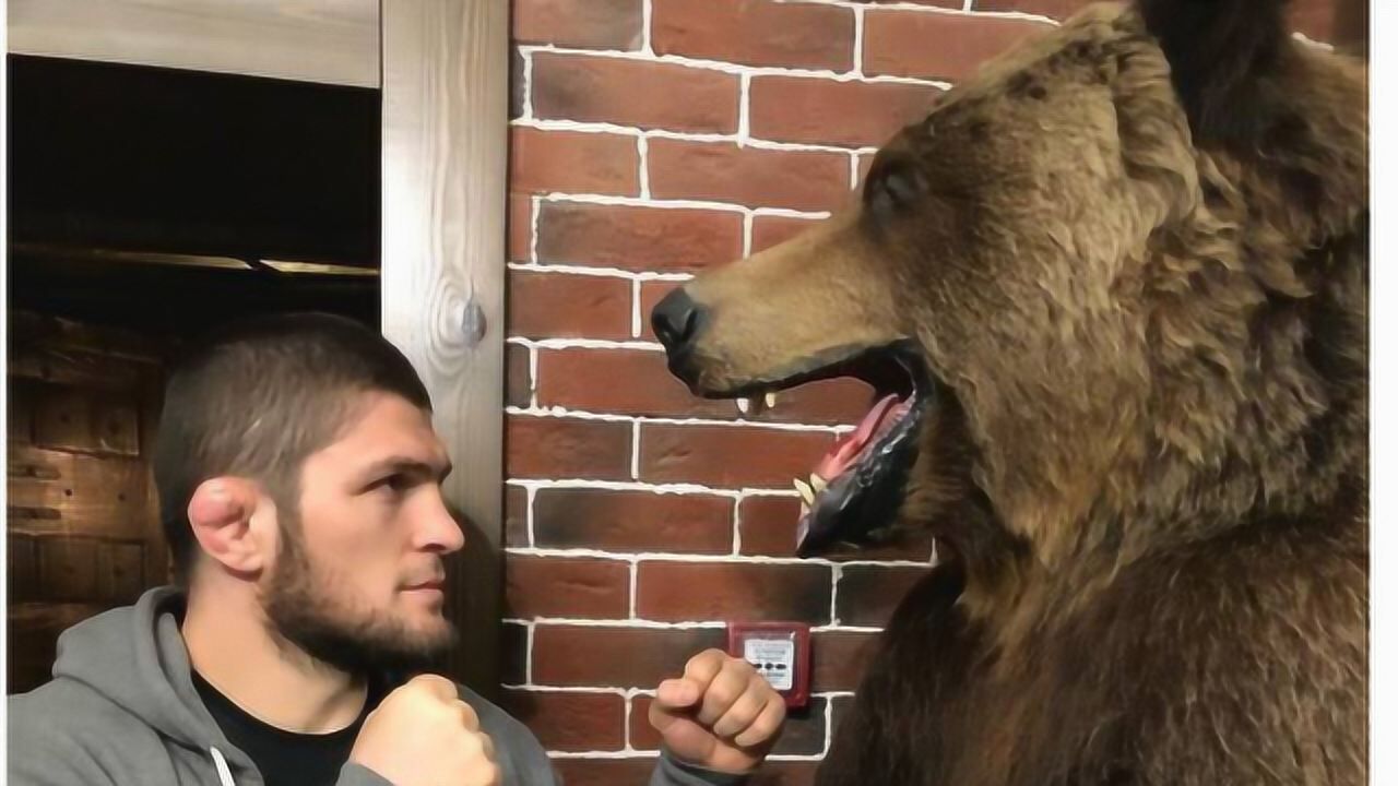 ufc最强霸主小鹰真的是天生的格斗家小时候就和熊摔跤