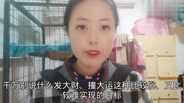 我的2020年小目标:生意成功拓展海外市场,各位网友的愿望是什么