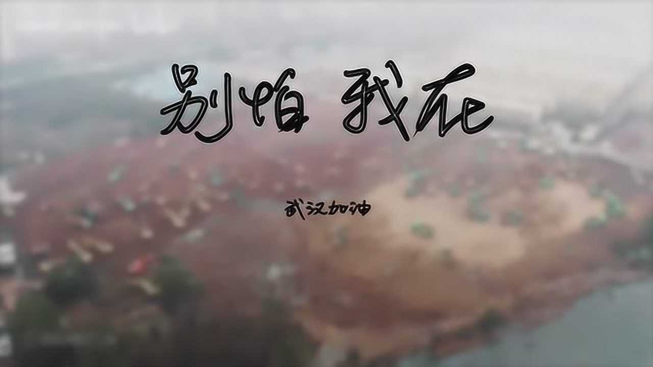 别怕,我在——武汉加油!