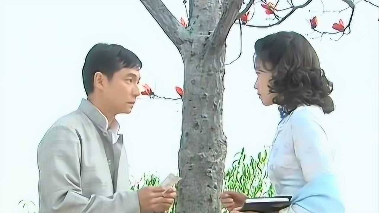 木棉花的春天佩芸至今还留着与耀华的合照耀华一语中的