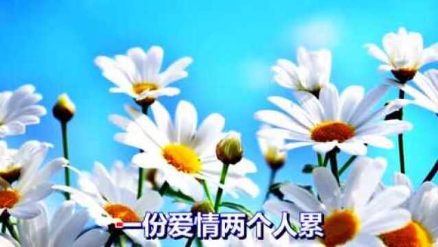 一首情歌《女人的眼泪》