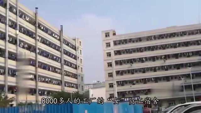 深圳8000多人的大工厂,只有1000人的男员工,这么多女生怎么办