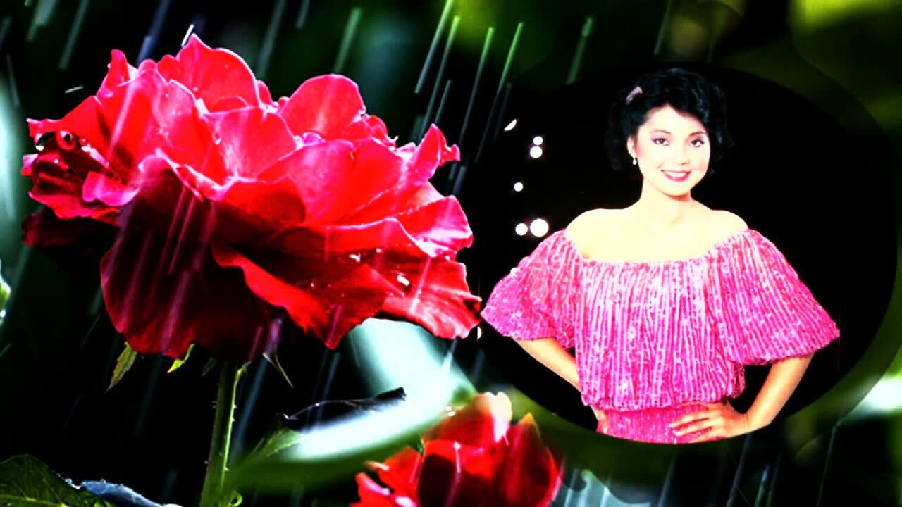 邓丽君《雨中的点点滴滴》,林煌坤词,邓丽君金曲典藏