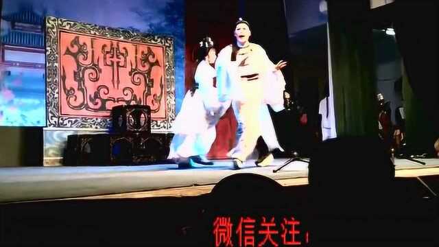 林初发 詹春湘 2位名家下乡演出,现场精彩视频