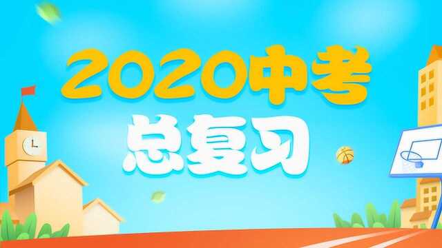 清北学霸中考数学专题1数与式第二节整式与因式分解