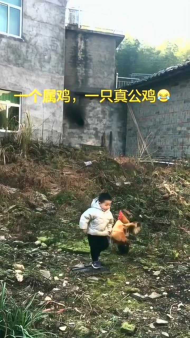 儿子鸡大的吓人图片