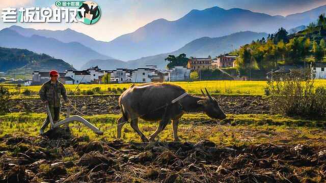 大学生种田?华中农业大学倡议:在家同学参与春耕生产