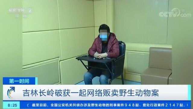 吉林长岭破获一起网络贩卖野生动物案