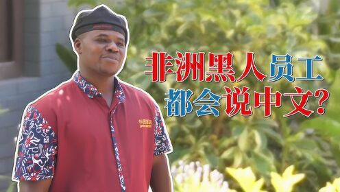 津巴布韦111集：中国人在非洲开饭店，黑人员工都会中文