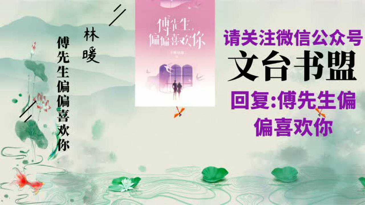傅先生偏偏喜欢你林暖傅怀安千桦尽落全集全免