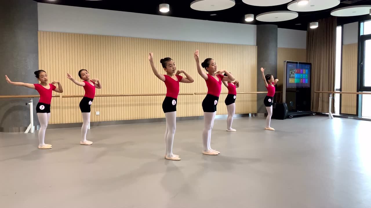 傣族舞蹈《小卜少》