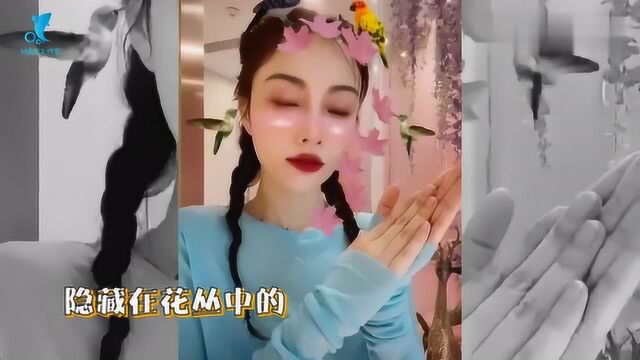 李小璐齐刘海新发型减龄不少,跳手势舞表情甜美似青春美少女