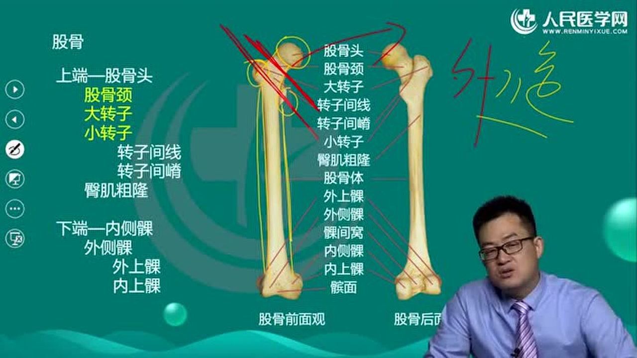 医师资格-临床执业_临床执业-（2）解刨学_高清1080P在线观看平台_腾讯视频