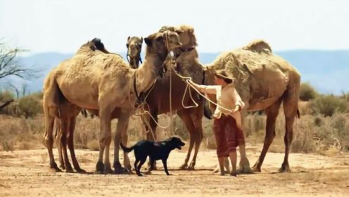 女孩为完成梦想，带着一条狗和四匹骆驼，穿越整个沙漠