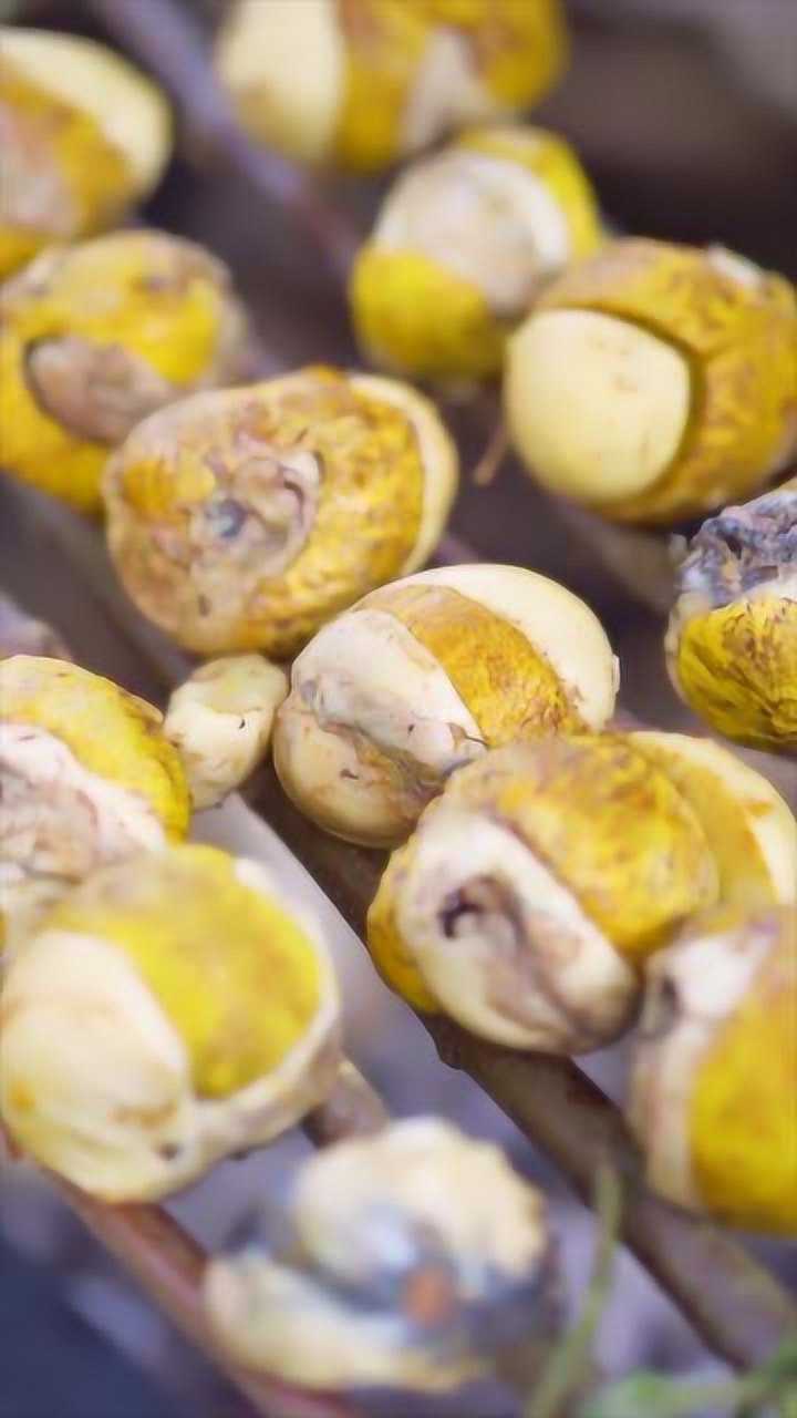 南方人吃的毛鸡蛋,看着吓人,吃着是真香啊!