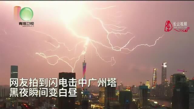 抓拍雷雨震撼场面:之字形闪电击中广州塔,雨夜瞬间变白昼