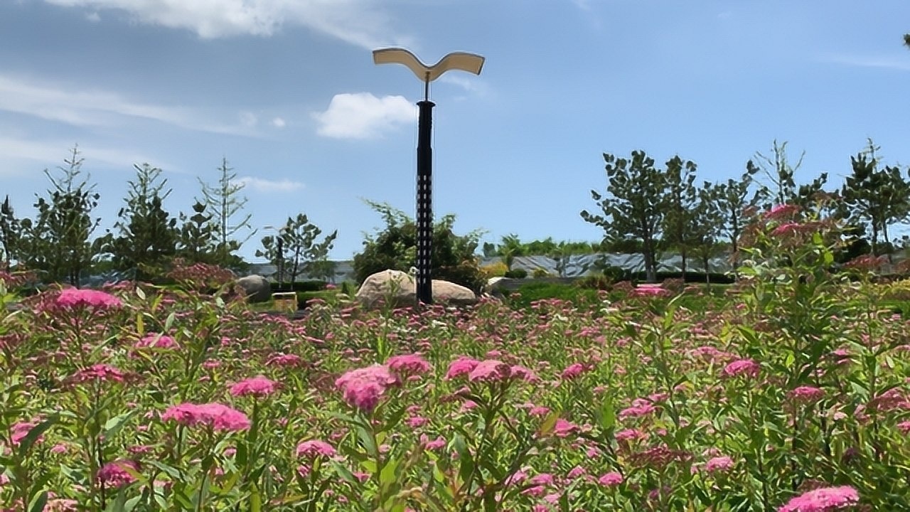 威海凤凰湖湿地公园景区,开阔原始,透着野性的魅力