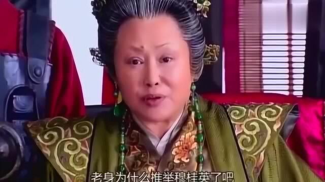 杨宗保安全的归来,让军中众人,彻底的服从了穆桂英!