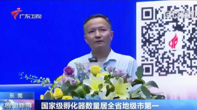 东莞 国家级孵化器数量居全省地级市第一