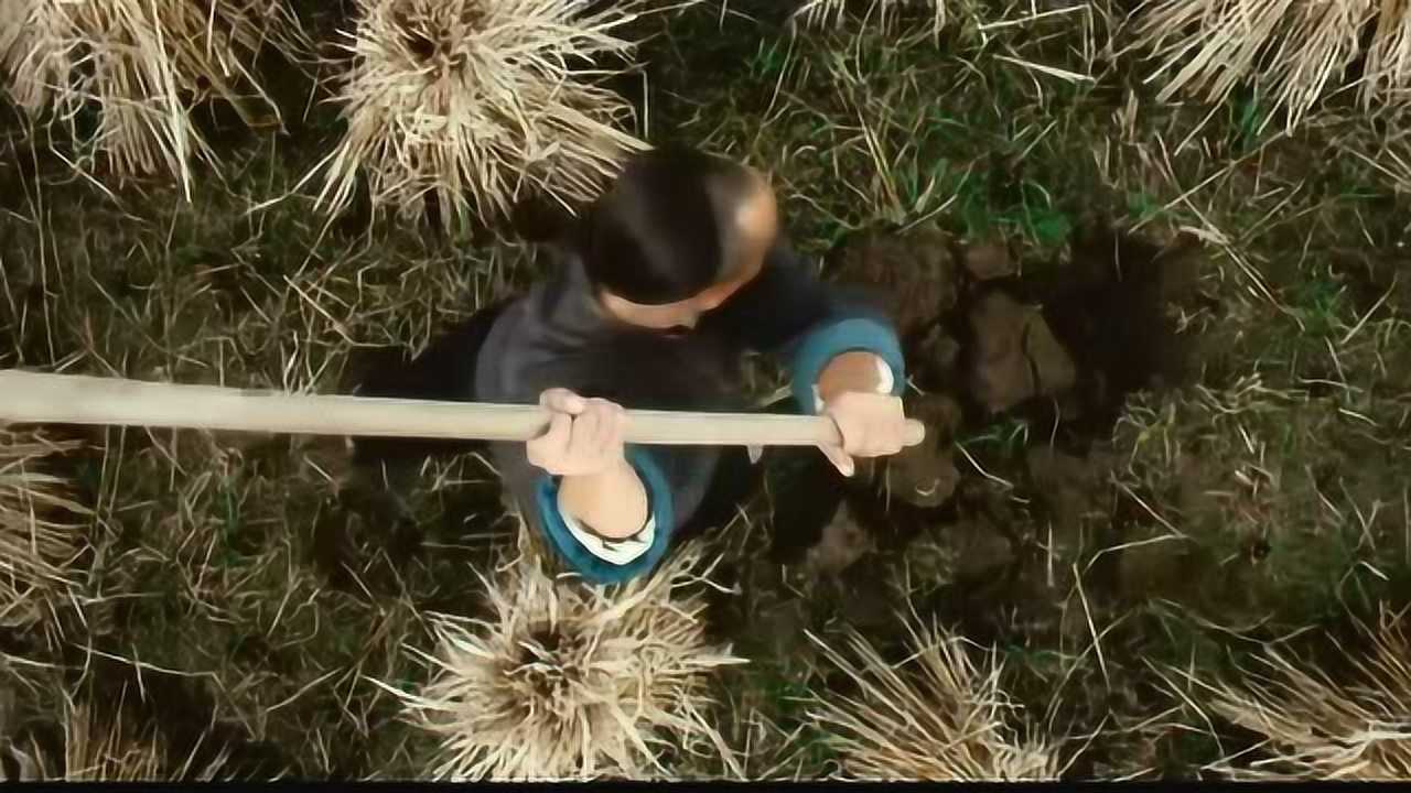 为虫子超度-为什么大旱之后有蝗灾
